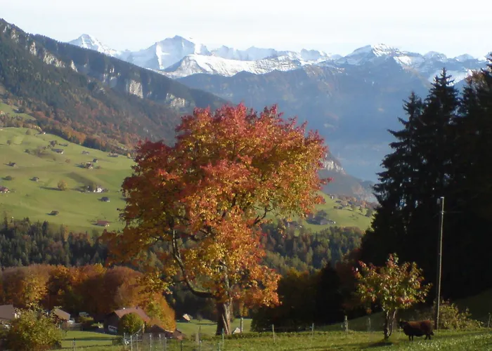 Rothorn Vintage-style 2*